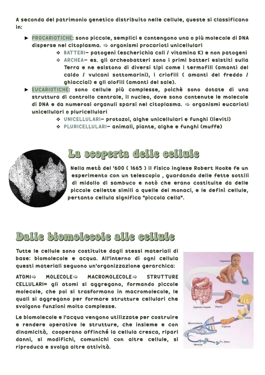 La biosfera è la parte del pianeta terrestre in cui vivono tutte le forma di vita.
Tutti gli esseri viventi hanno delle caratteristiche in
c