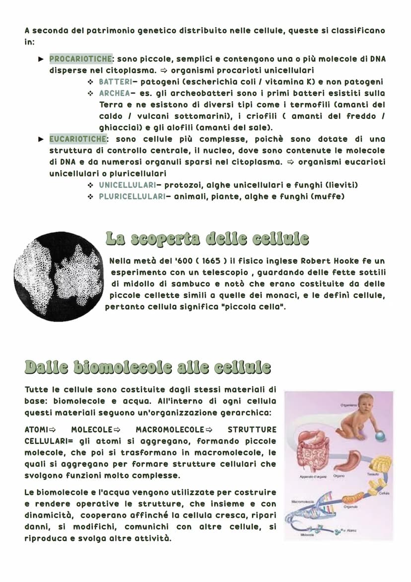 La biosfera è la parte del pianeta terrestre in cui vivono tutte le forma di vita.
Tutti gli esseri viventi hanno delle caratteristiche in
c