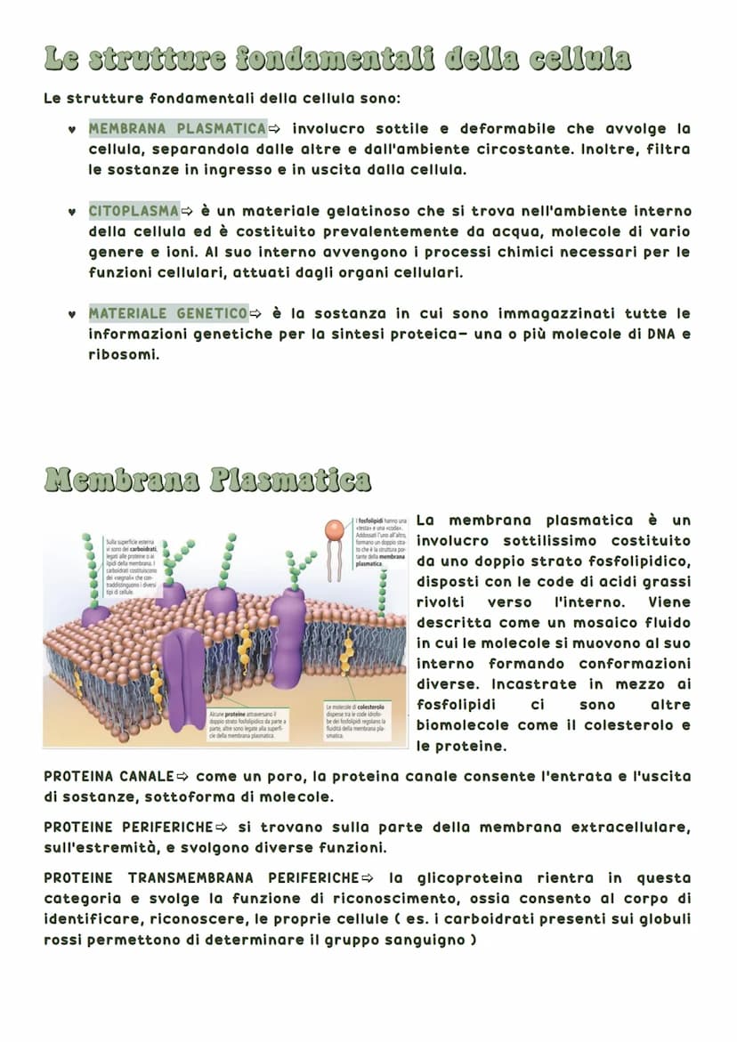 La biosfera è la parte del pianeta terrestre in cui vivono tutte le forma di vita.
Tutti gli esseri viventi hanno delle caratteristiche in
c