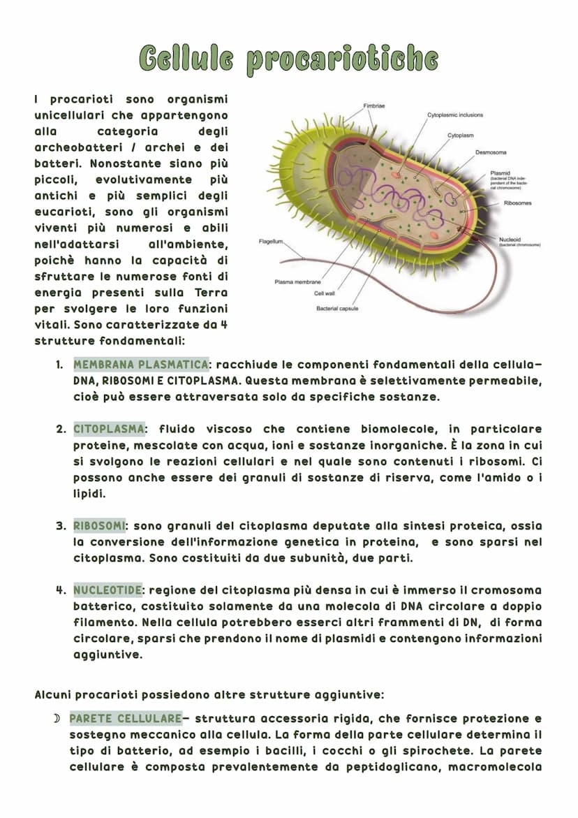 La biosfera è la parte del pianeta terrestre in cui vivono tutte le forma di vita.
Tutti gli esseri viventi hanno delle caratteristiche in
c