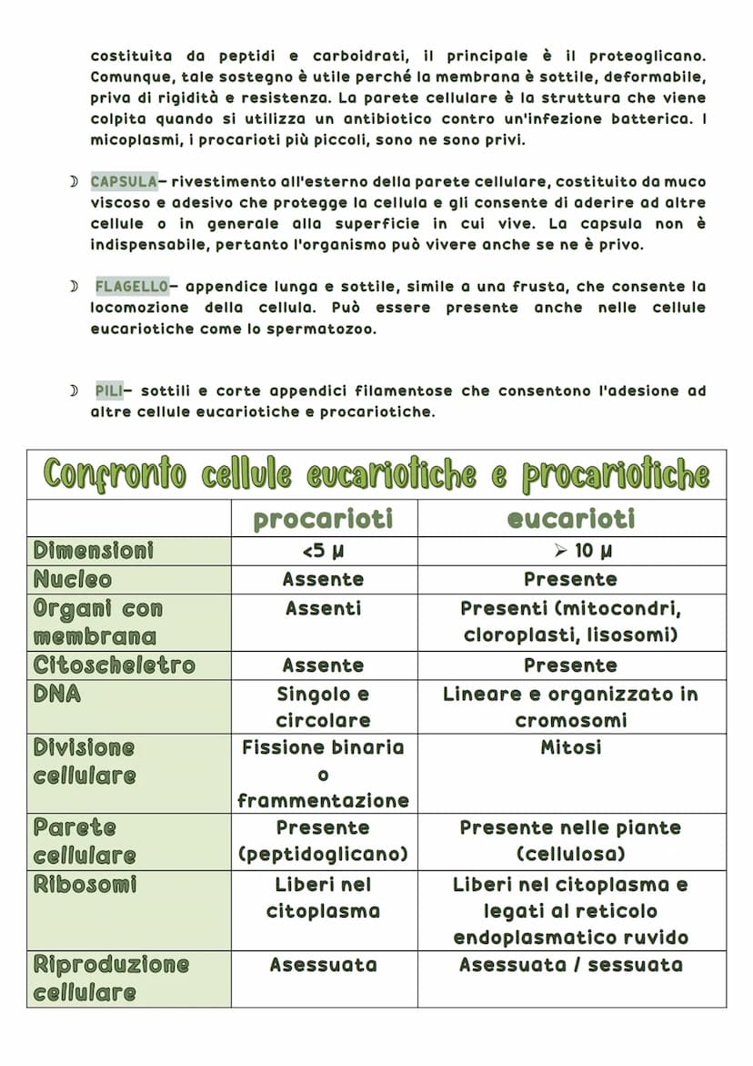 La biosfera è la parte del pianeta terrestre in cui vivono tutte le forma di vita.
Tutti gli esseri viventi hanno delle caratteristiche in
c