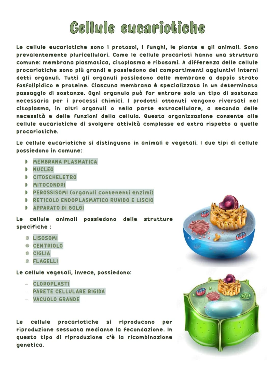 La biosfera è la parte del pianeta terrestre in cui vivono tutte le forma di vita.
Tutti gli esseri viventi hanno delle caratteristiche in
c