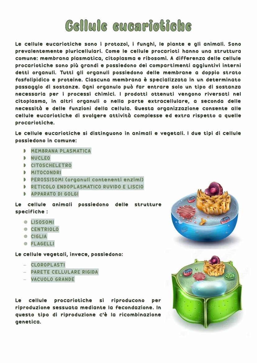 La biosfera è la parte del pianeta terrestre in cui vivono tutte le forma di vita.
Tutti gli esseri viventi hanno delle caratteristiche in
c