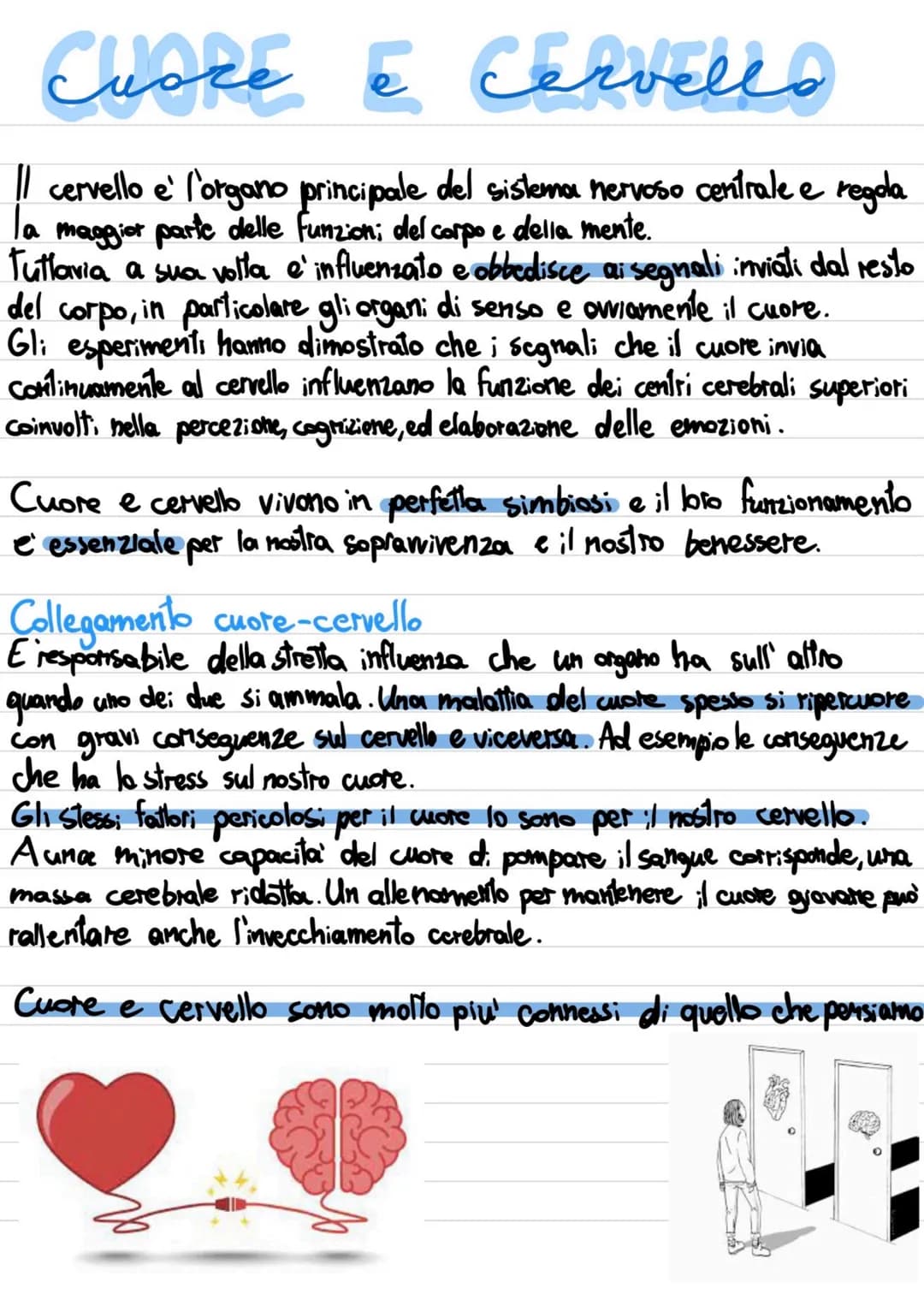 IL CUORE
|| cuore, insieme al cervello, e' l'organo più importante dell'organismo.
Infatti, il cuore funziona con una pompa che provvede ini