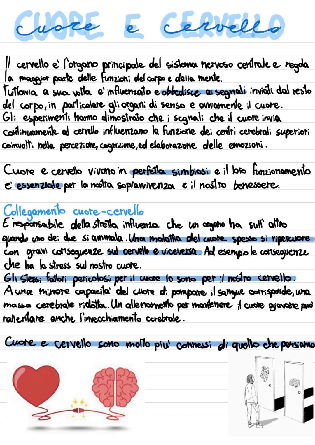 Cuore e Cervello: Dove Si Trovano e Come Funzionano
