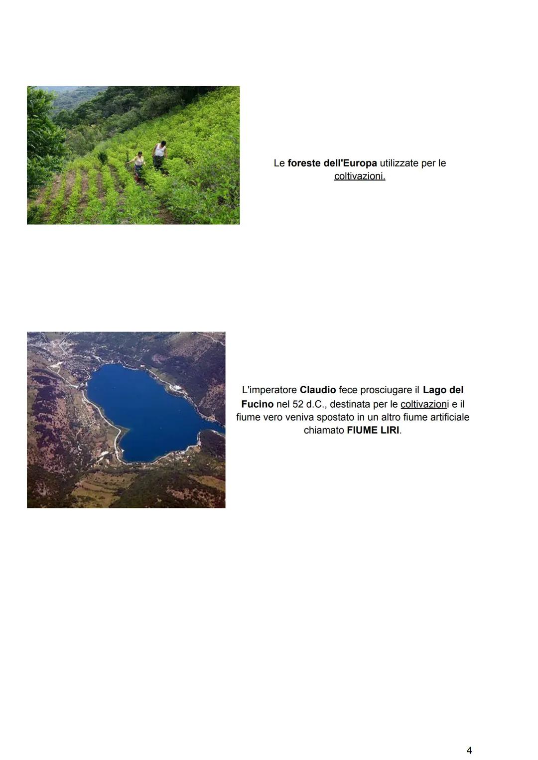 AUGUSTO
Gallio Giulio Cesare Ottaviano Augusto è il primo
imperatore di Roma.
Nacque il 23 settembre del 63 a.C.
È figlio di Caio Ottaviano,