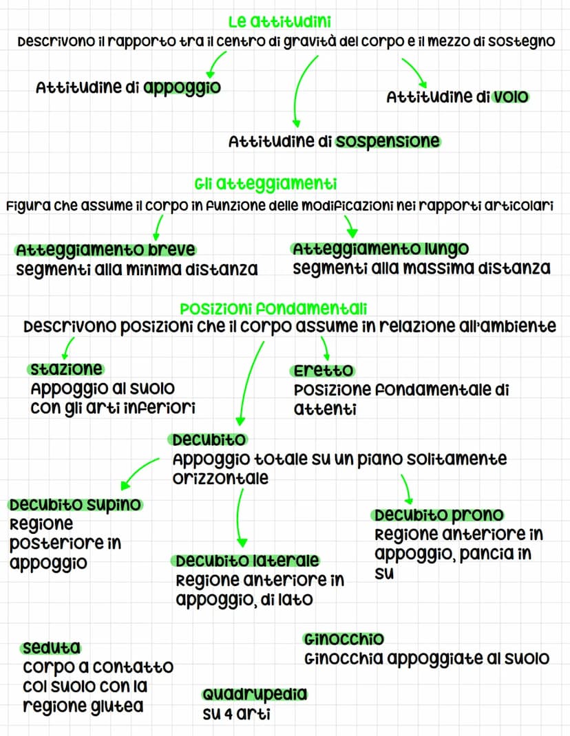 linguaggio specifico
Gli assi e i piani
Asse longitudinale
Linea immaginaria che
Attraversa il corpo
Dall'alto al basso, si
possono fare mov
