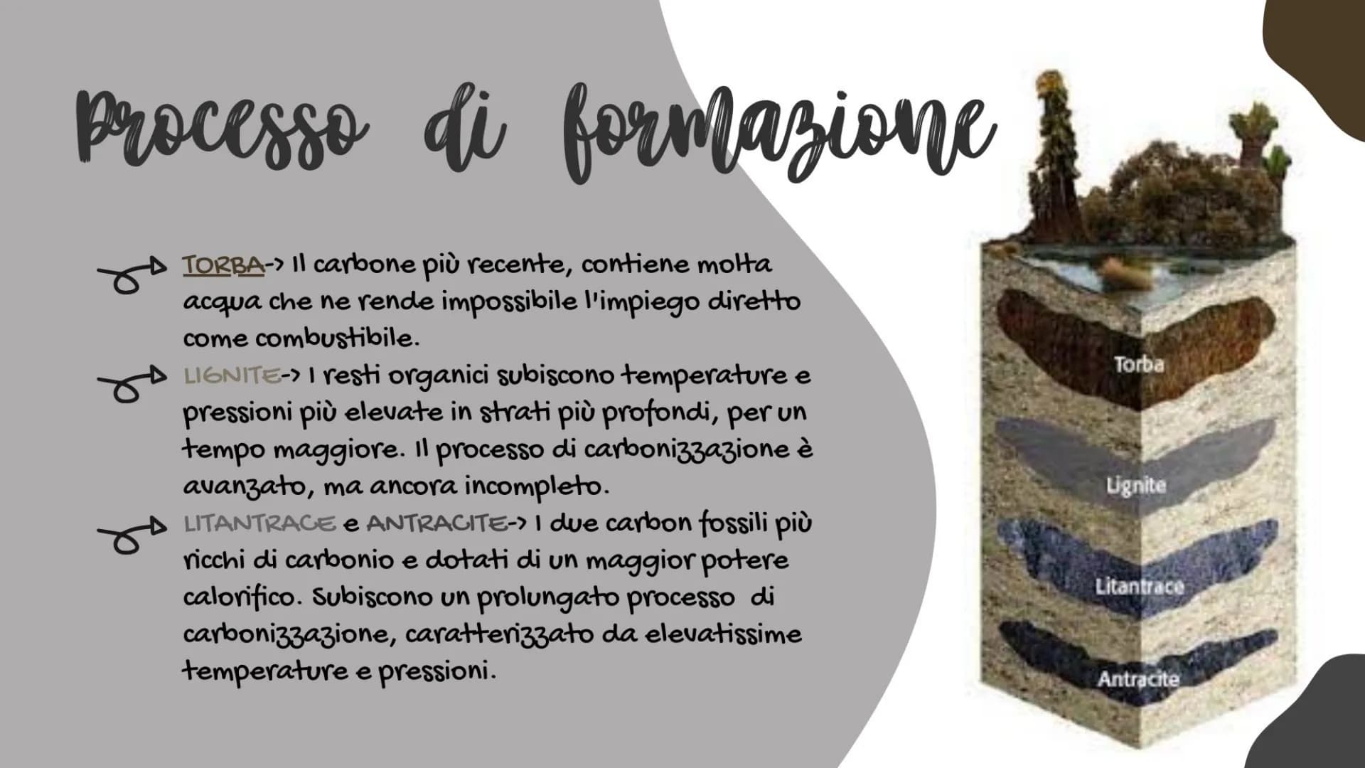 /1
Il carbone
Di Larissa Mitca classe 3ºB
о Cos'è il carbone?
Il carboni fossili sono vere e proprie rocce sedimentarie e organiche, costitu