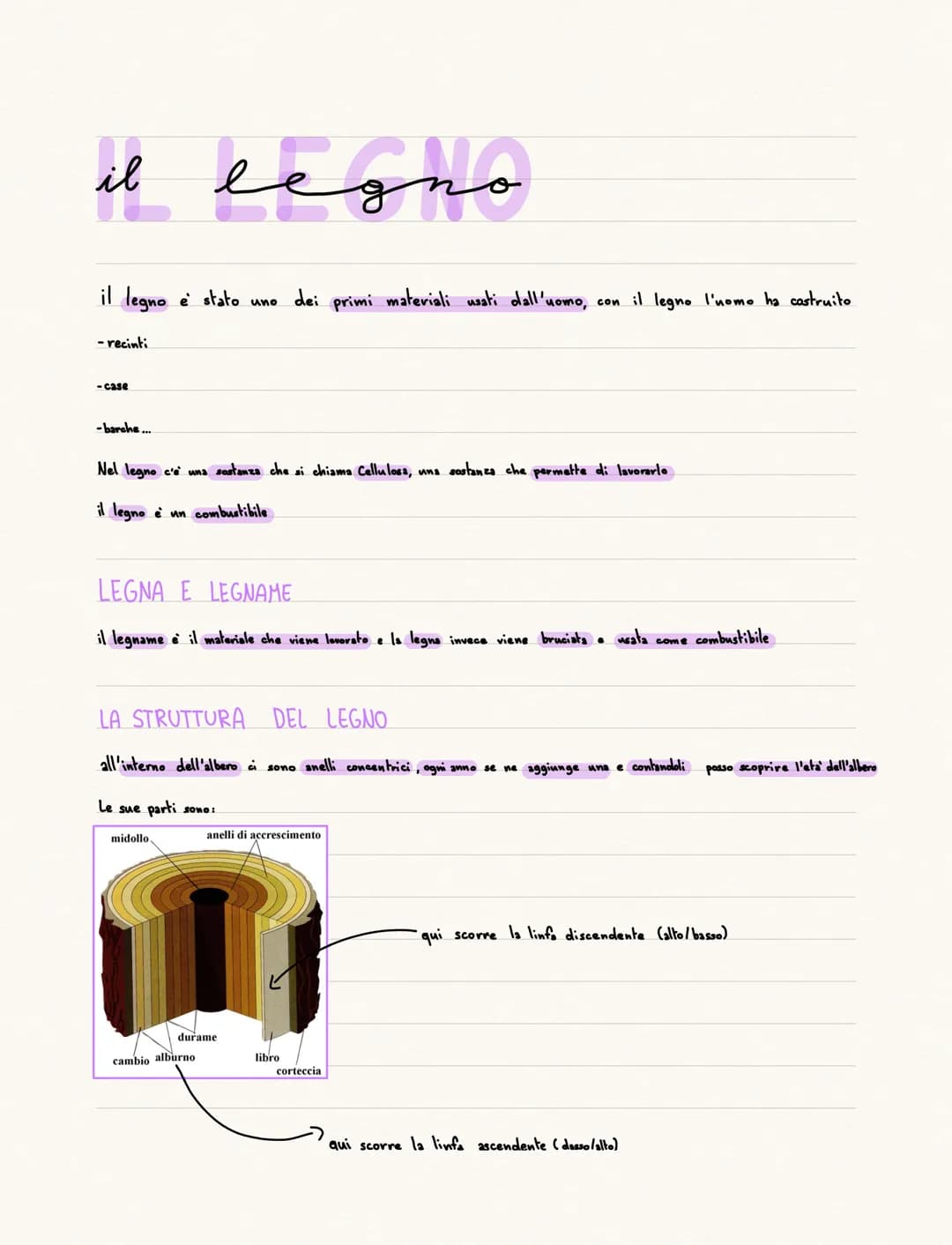il
il legno è stato uno dei primi materiali usati dall'uomo, con il legno l'uomo ha costruito
- recinti
-case
-barche...
legno
Nel legno c'e