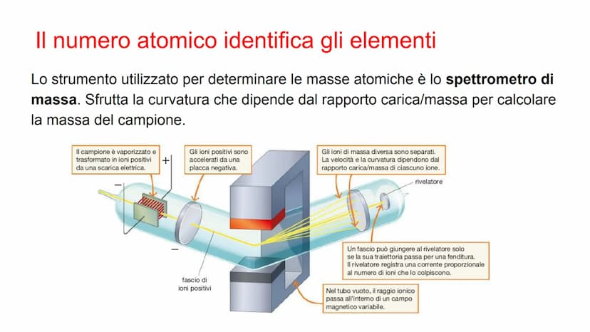 Il numero atomico identifica
gli elementi
Il numero di protoni presenti nel nucleo di un atomo si
chiama numero atomico (Z). Se l'atomo è ne