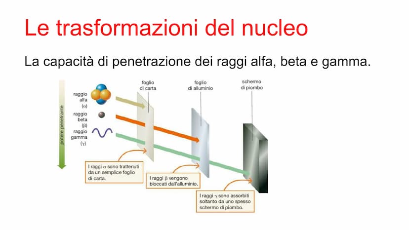 Il numero atomico identifica
gli elementi
Il numero di protoni presenti nel nucleo di un atomo si
chiama numero atomico (Z). Se l'atomo è ne