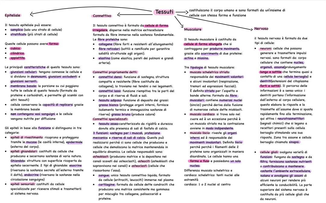 Tessuti del Corpo Umano