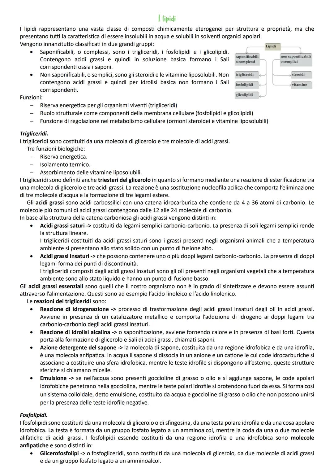 --- OCR Start ---
LE BIOMOLECOLE
Biochimica -> studia la struttura e la sintesi delle biomolecole e il metabolismo cellulare.
Biomolecole ->