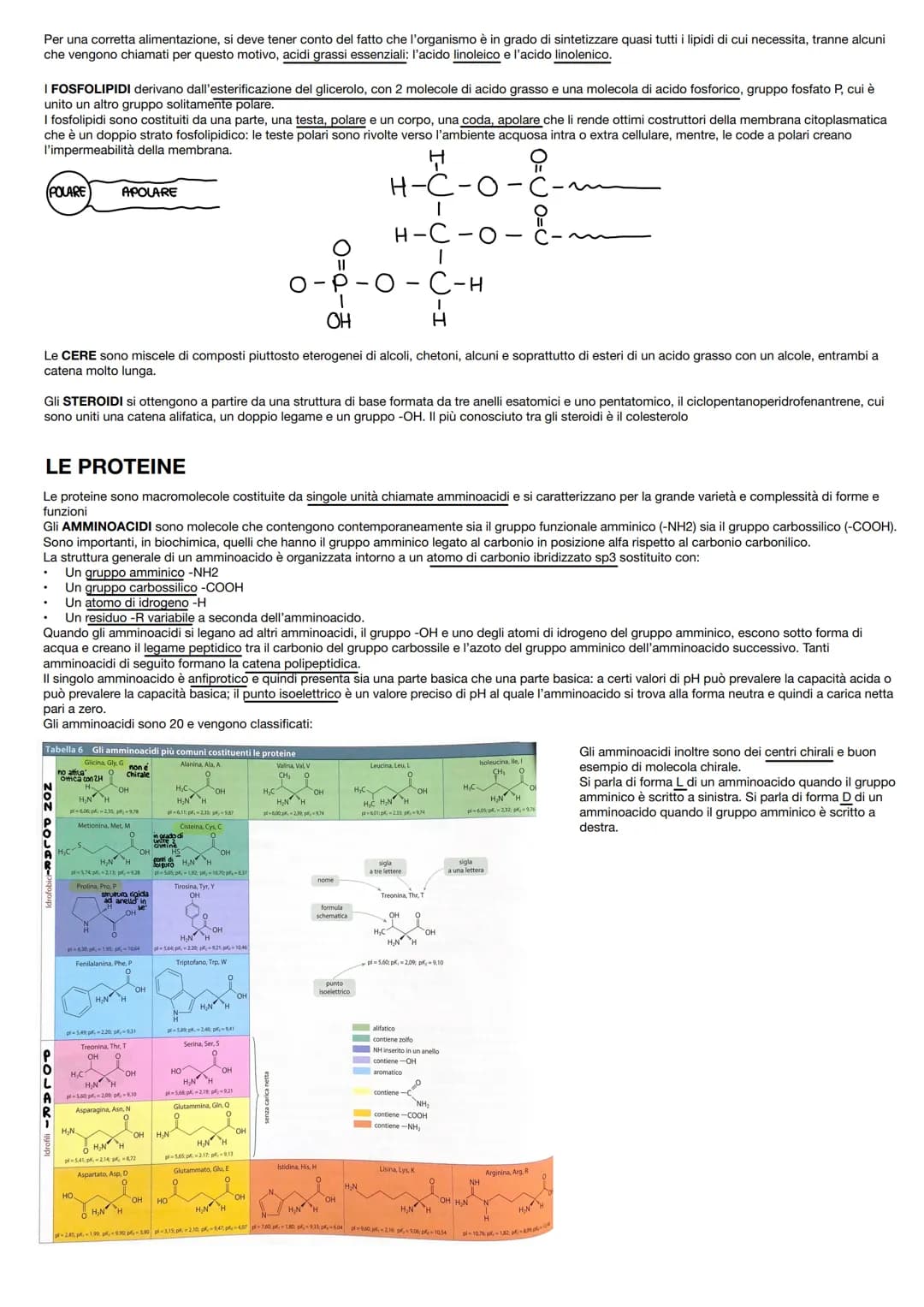 LA BIOCHIMICA
INTRODUZIONE
Nel complesso mondo degli organismi viventi sono presenti molti tipi di macromolecole, ma gli elementi che le cos