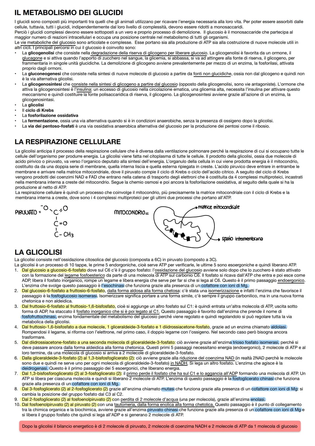 LA BIOCHIMICA
INTRODUZIONE
Nel complesso mondo degli organismi viventi sono presenti molti tipi di macromolecole, ma gli elementi che le cos