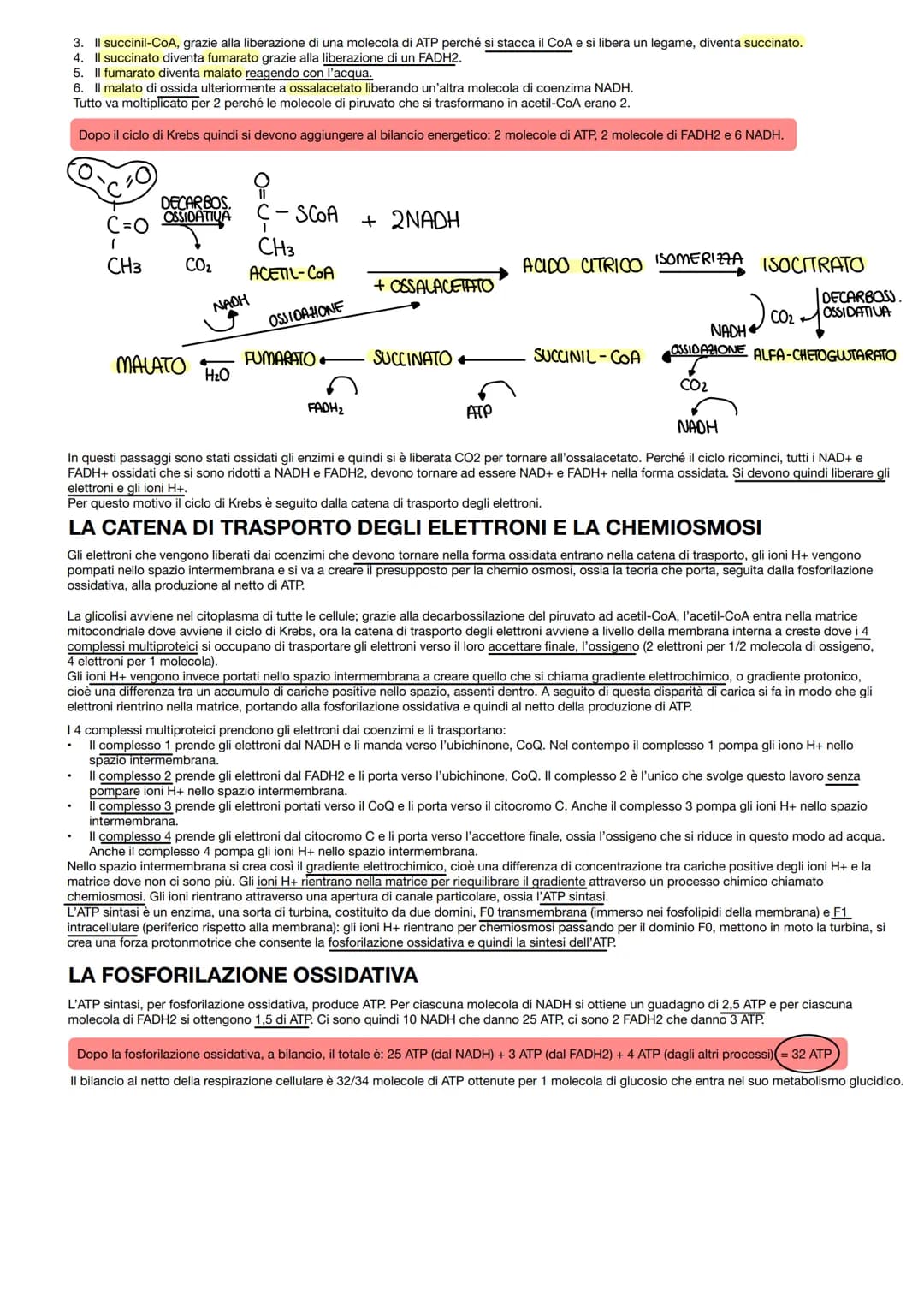 LA BIOCHIMICA
INTRODUZIONE
Nel complesso mondo degli organismi viventi sono presenti molti tipi di macromolecole, ma gli elementi che le cos