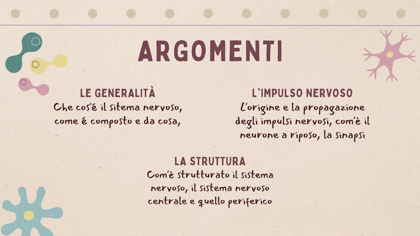 IL SISTEMA
NERVOSO * ARGOMENTI
LE GENERALITÀ
Che cos'è il sitema nervoso,
come é composto e da cosa,
L'IMPULSO NERVOSO
L'origine e la propag