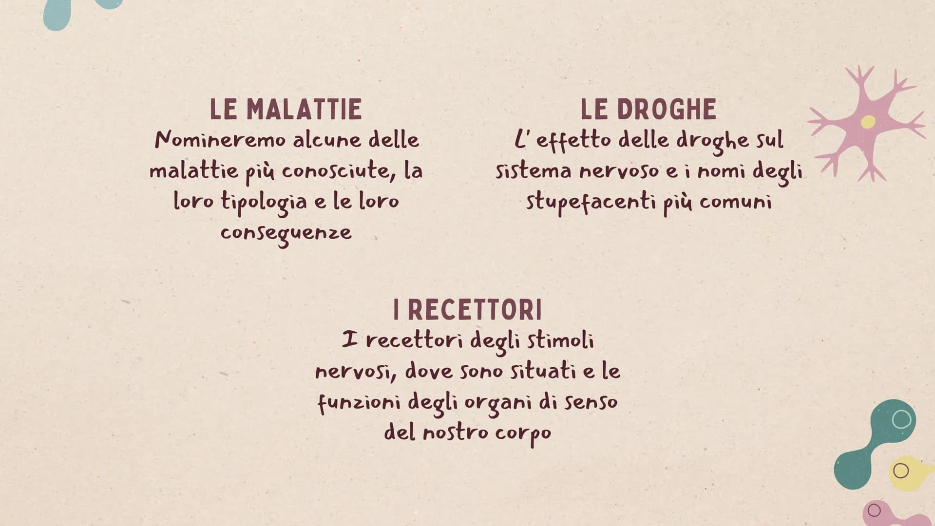 IL SISTEMA
NERVOSO * ARGOMENTI
LE GENERALITÀ
Che cos'è il sitema nervoso,
come é composto e da cosa,
L'IMPULSO NERVOSO
L'origine e la propag