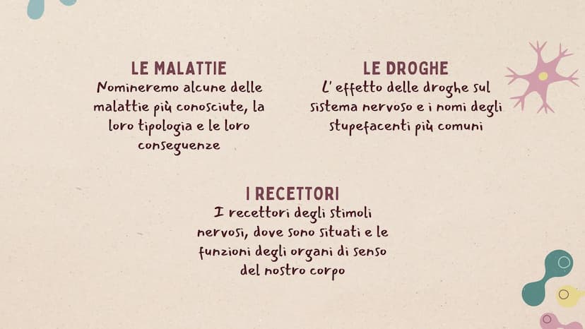 IL SISTEMA
NERVOSO * ARGOMENTI
LE GENERALITÀ
Che cos'è il sitema nervoso,
come é composto e da cosa,
L'IMPULSO NERVOSO
L'origine e la propag