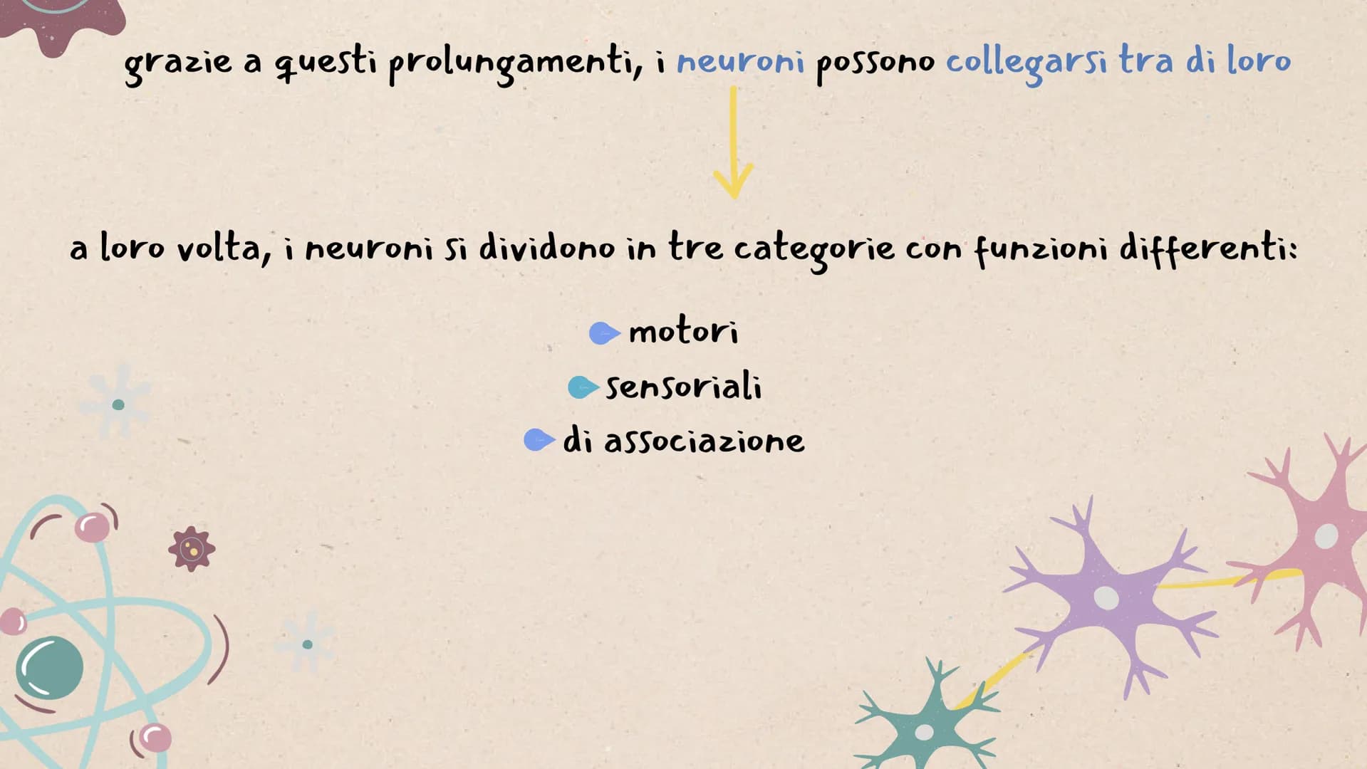 IL SISTEMA
NERVOSO * ARGOMENTI
LE GENERALITÀ
Che cos'è il sitema nervoso,
come é composto e da cosa,
L'IMPULSO NERVOSO
L'origine e la propag