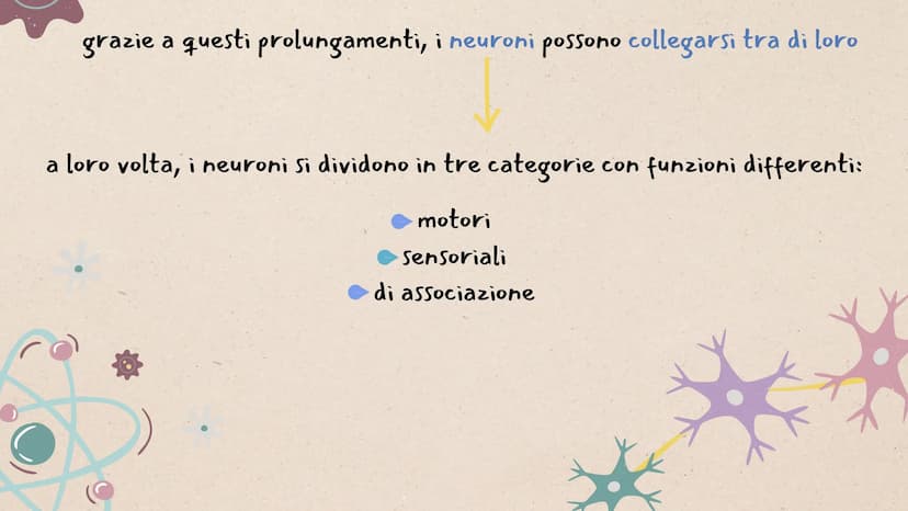 IL SISTEMA
NERVOSO * ARGOMENTI
LE GENERALITÀ
Che cos'è il sitema nervoso,
come é composto e da cosa,
L'IMPULSO NERVOSO
L'origine e la propag