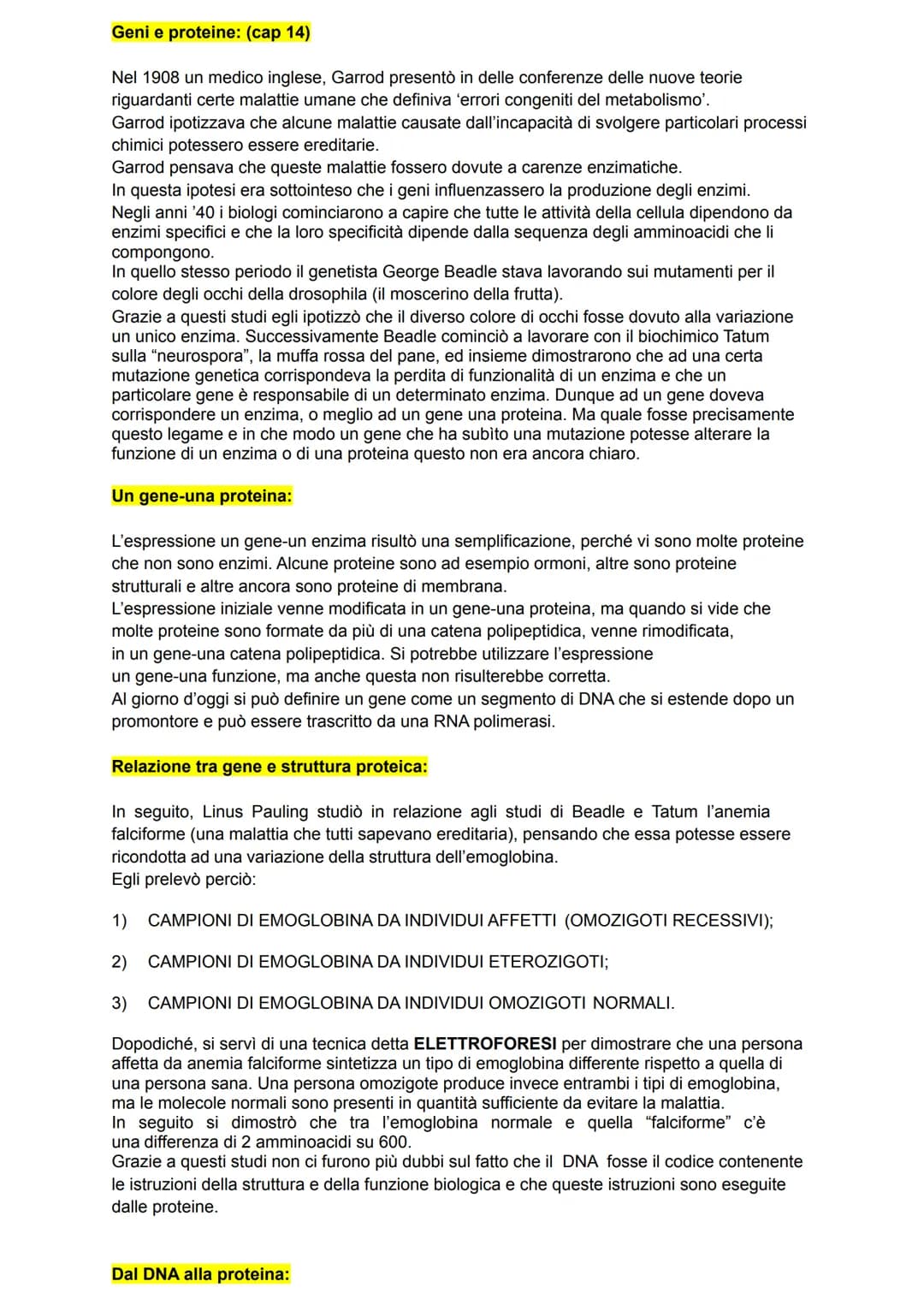 Le proteine:
Tra le molecole biologiche più importanti vi sono le proteine, queste svolgono un diversi
compiti nei sistemi viventi. Le prote