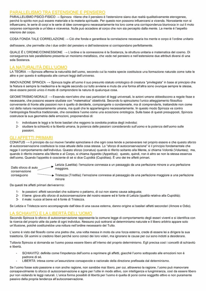 Spinoza
LA FILOSOFIA
La filosofia per Spinoza rappresenta una via verso la beatitudine e la saggezza, non si esaurisce nel momento puramente