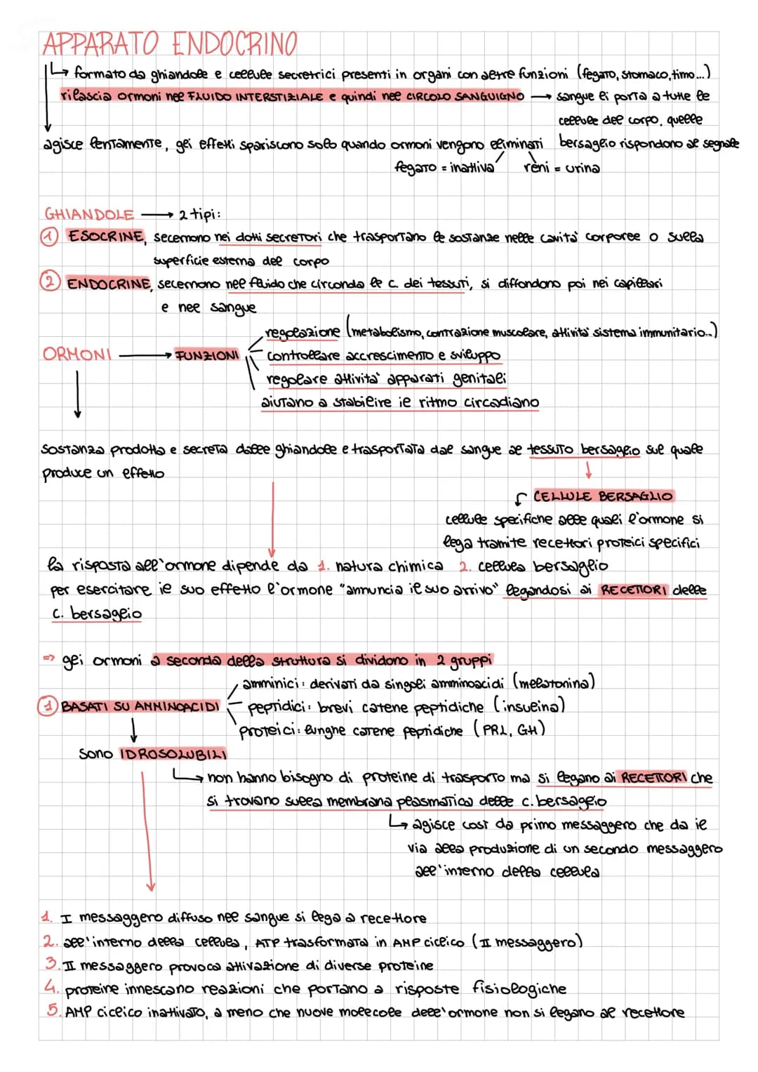 APPARATO ENDOCRINO
| formato da ghiandole e cellule secretrici presenti in organi con altre funzioni (fegato, stomaco, timo....)
rilascia or