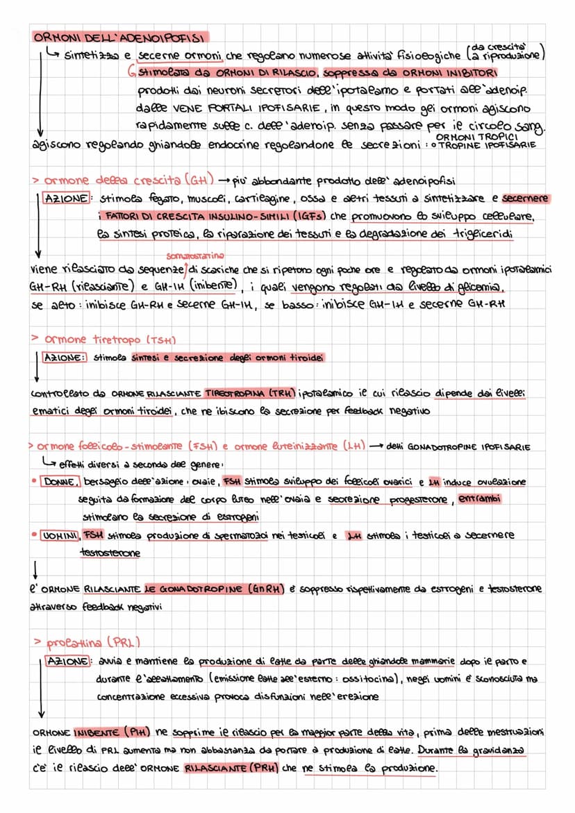 APPARATO ENDOCRINO
| formato da ghiandole e cellule secretrici presenti in organi con altre funzioni (fegato, stomaco, timo....)
rilascia or