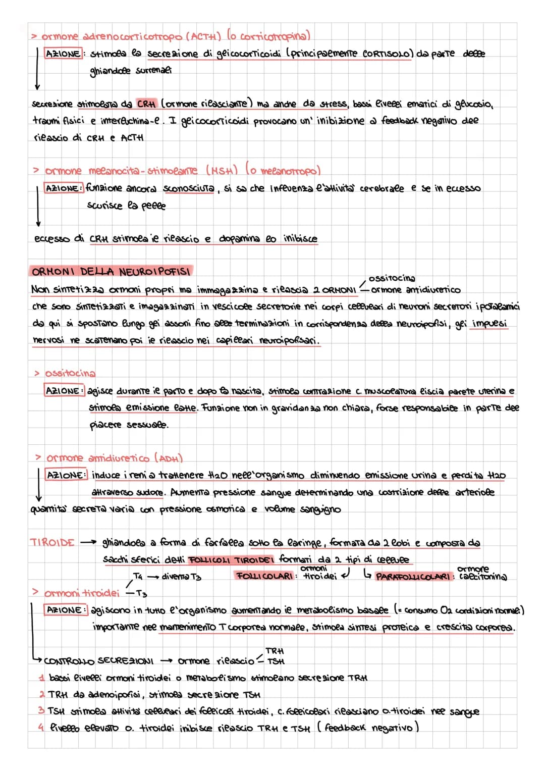 APPARATO ENDOCRINO
| formato da ghiandole e cellule secretrici presenti in organi con altre funzioni (fegato, stomaco, timo....)
rilascia or