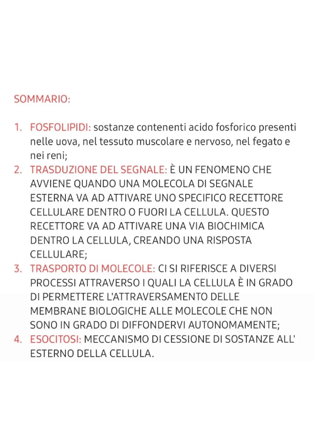 Scopri la Membrana Plasmatica e i Tipi di Trasporto!