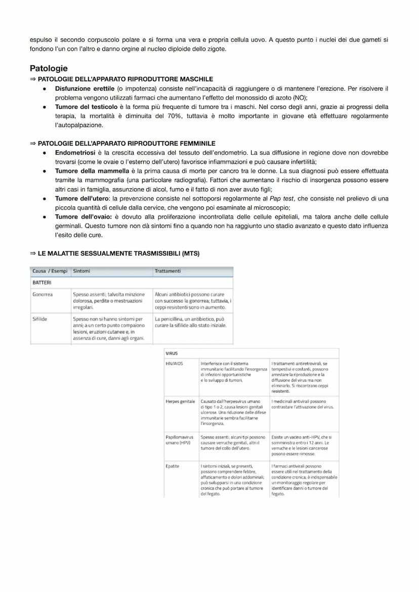 L'apparato riproduttore
La riproduzione umana presenta tre caratteristiche principali:
è una riproduzione sessuata, ovvero la prole viene ge