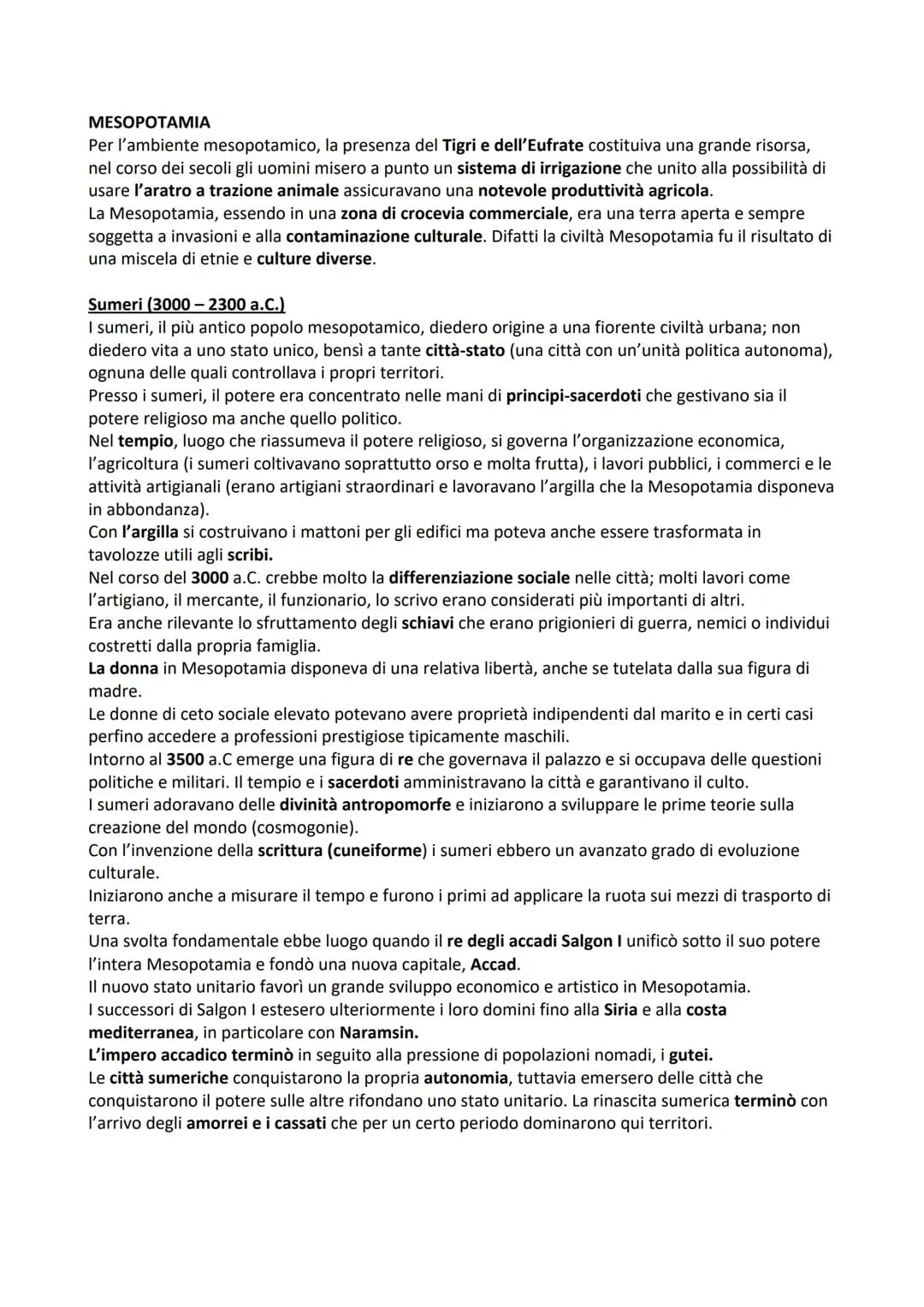 MESOPOTAMIA
Per l'ambiente mesopotamico, la presenza del Tigri e dell'Eufrate costituiva una grande risorsa,
nel corso dei secoli gli uomini