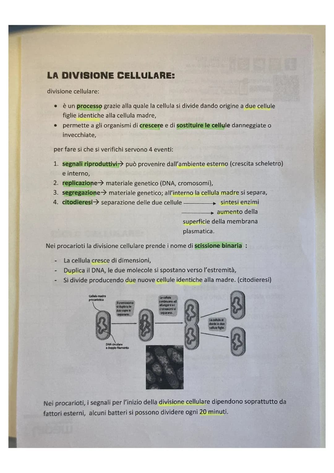 divisone cellulare e riproduzione cellulare 