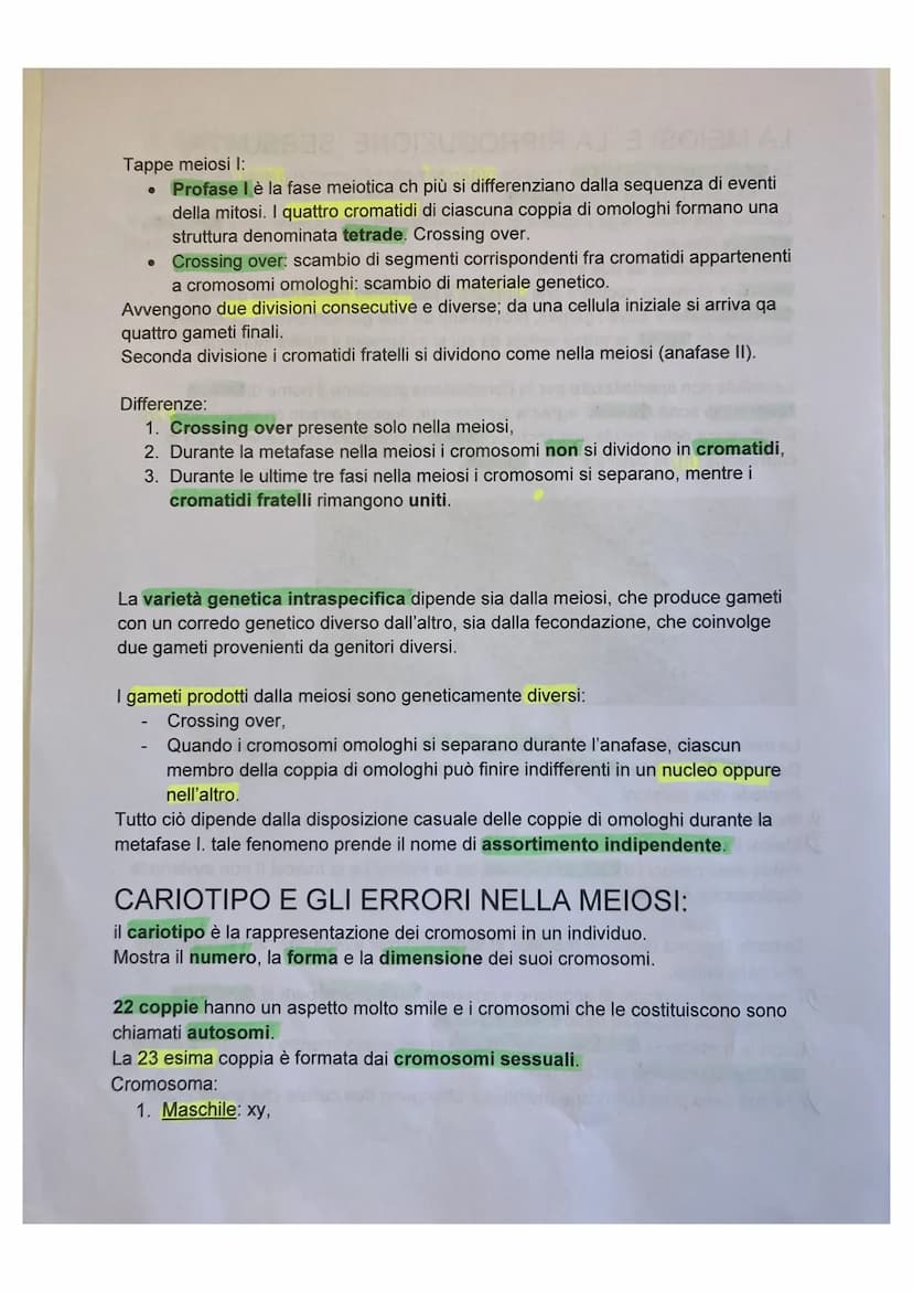 LA DIVISIONE CELLULARE:
divisione cellulare:
• è un processo grazie alla quale la cellula si divide dando origine a due cellule
figlie ident