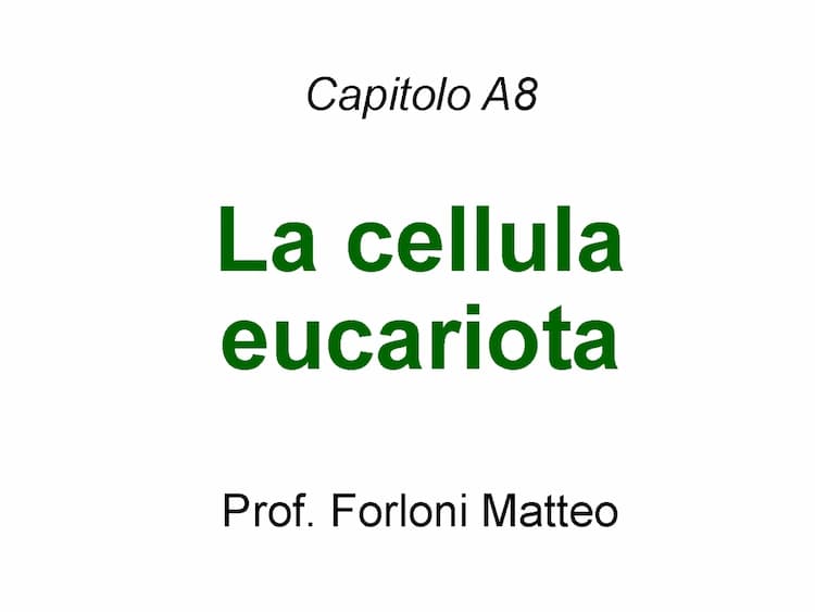 Know la cellula eucariota  thumbnail