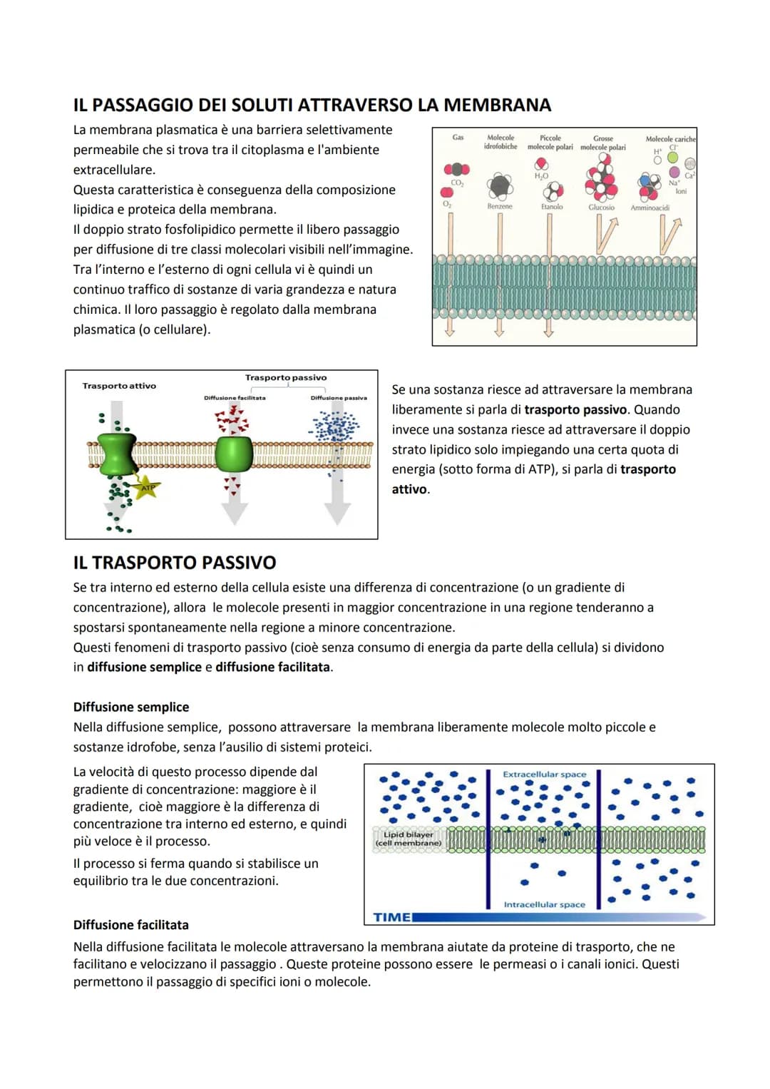 La composizione delle membrane cellulari dipende dal ruolo che svolgono, per esempio avremo che le
membrane dei cloroplasti avranno una dive