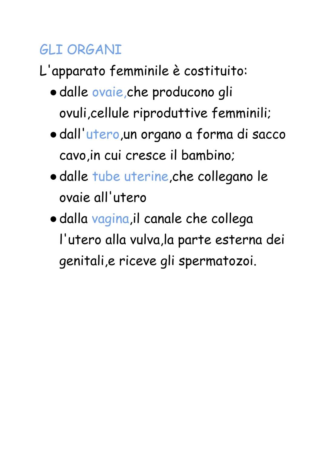 Apparato riproduttore
L'apparato riproduttore è l'unico
apparato differente nei maschi e nelle
femmine.
Ha il compito di produrre i gameti,c