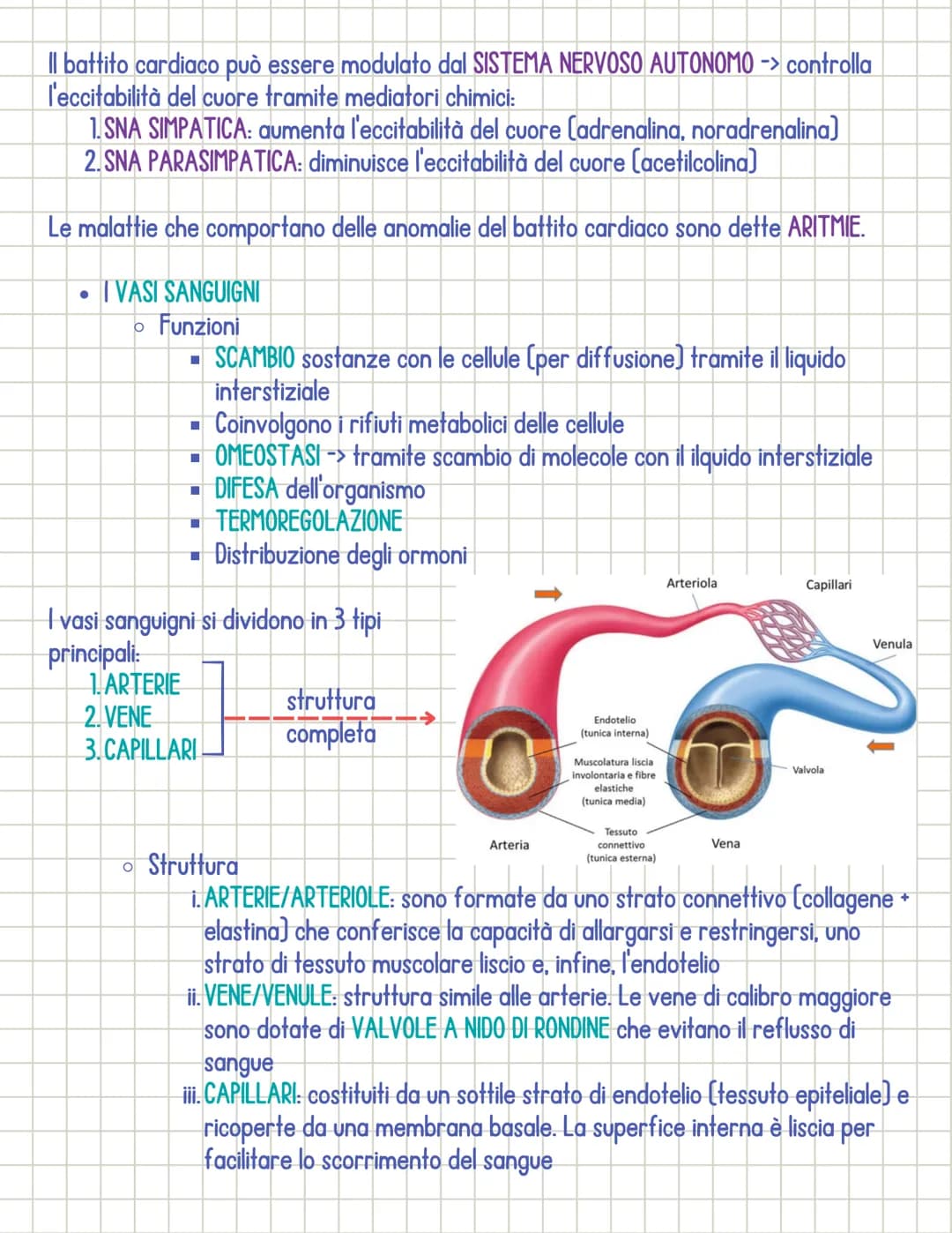 Sistema cardiocircolatorio
• Il sistema circolatorio è costituito da 3 parti principali:
1.il CUORE
si dividono in:
2.1 VASI SANGUIGNI
3. il