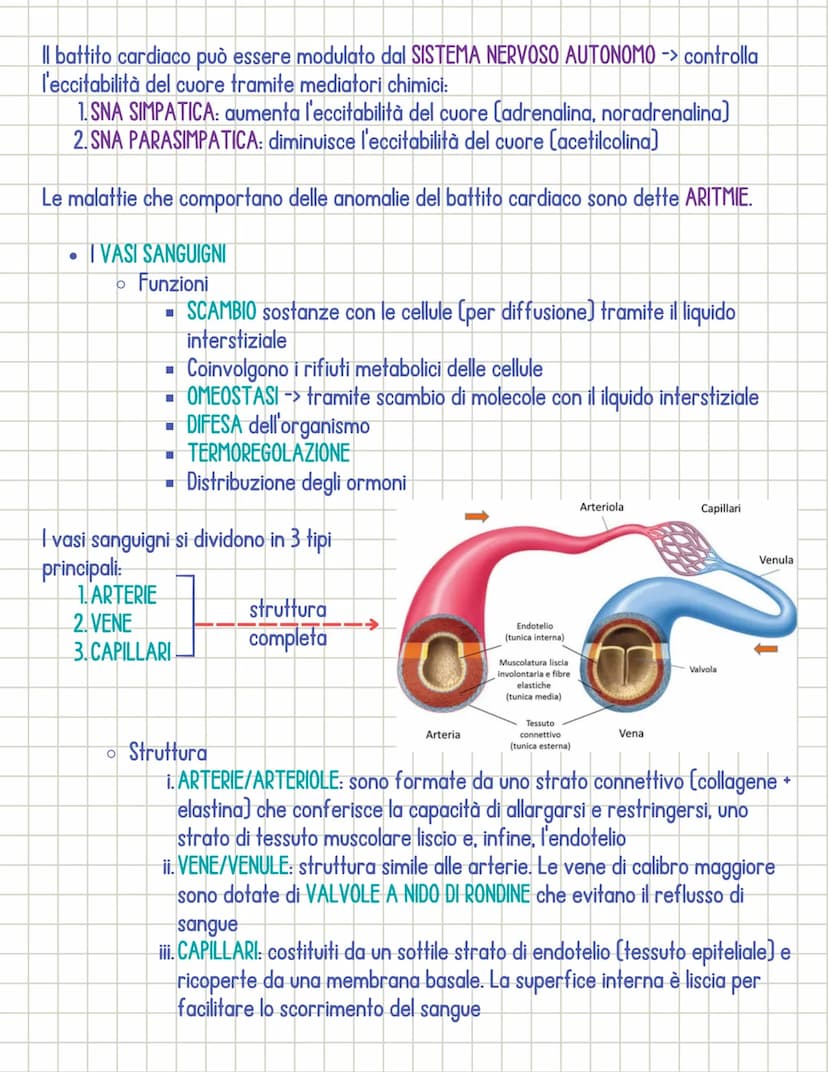 Sistema cardiocircolatorio
• Il sistema circolatorio è costituito da 3 parti principali:
1.il CUORE
si dividono in:
2.1 VASI SANGUIGNI
3. il