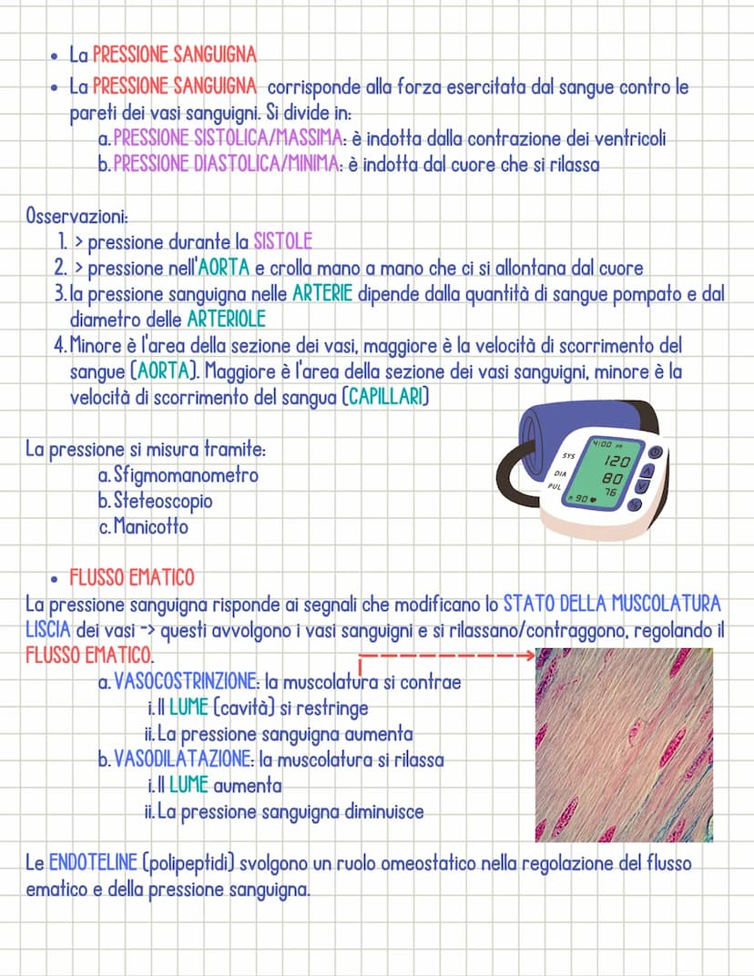 Sistema cardiocircolatorio
• Il sistema circolatorio è costituito da 3 parti principali:
1.il CUORE
si dividono in:
2.1 VASI SANGUIGNI
3. il