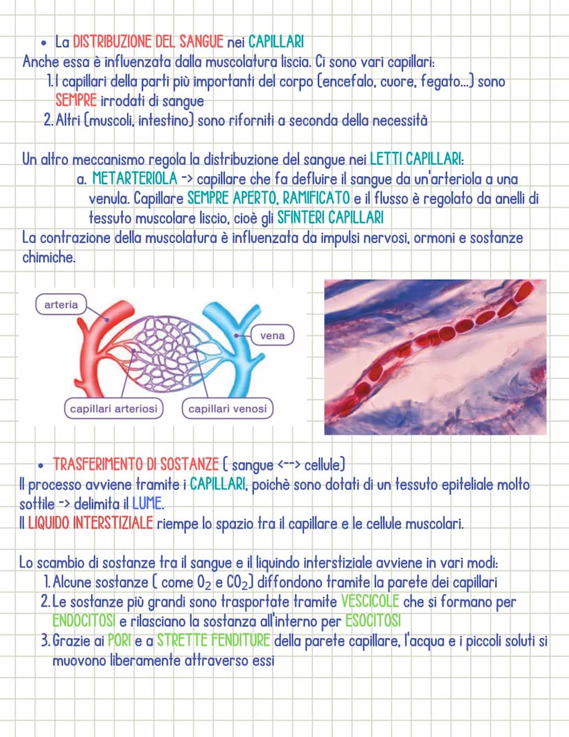 Sistema cardiocircolatorio
• Il sistema circolatorio è costituito da 3 parti principali:
1.il CUORE
si dividono in:
2.1 VASI SANGUIGNI
3. il