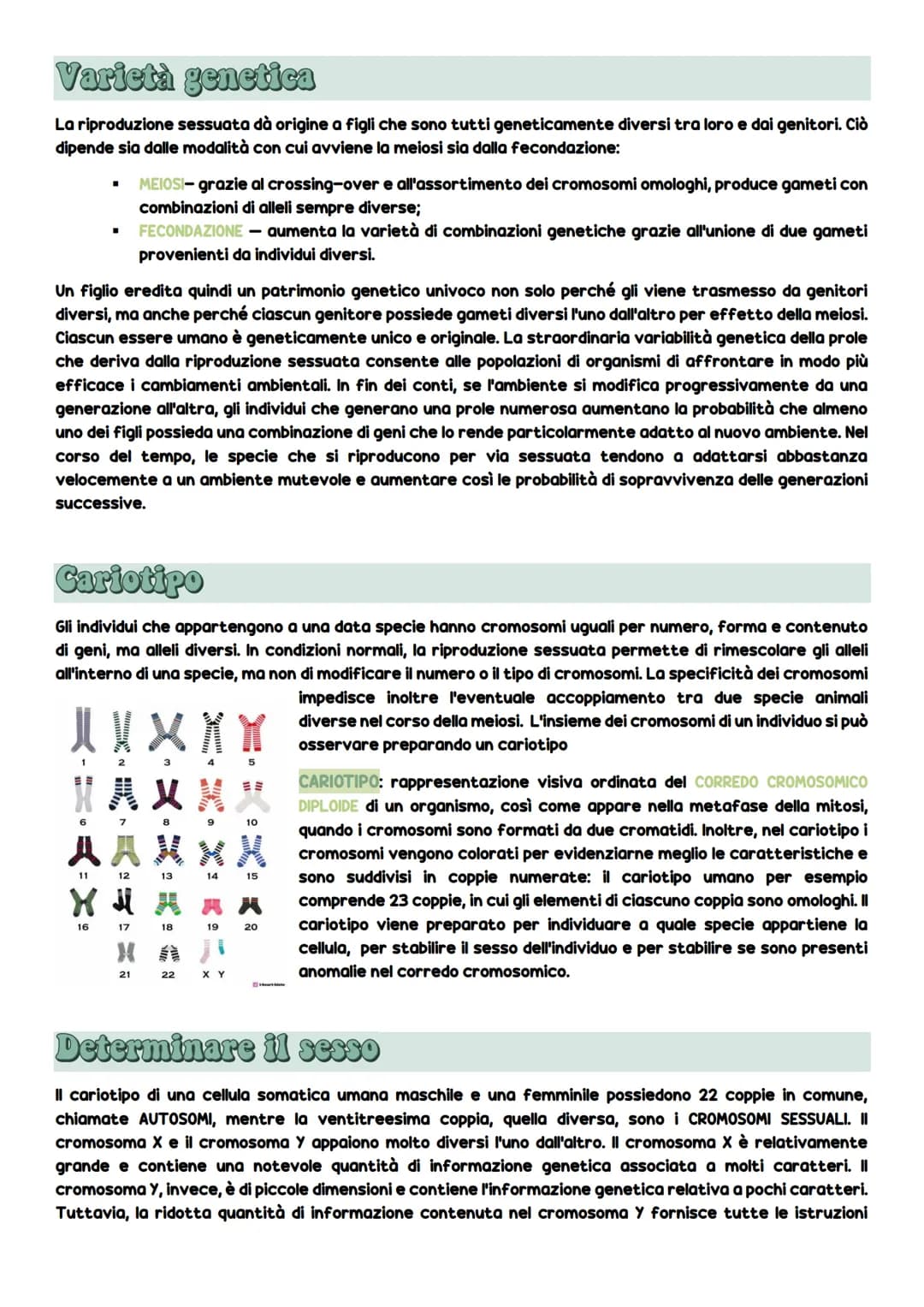 Dificiono cellulato
La divisione cellulare
DIVISIONE CELLULARE: è l'evento più importante della vita cellulare e consiste
nel processo che o