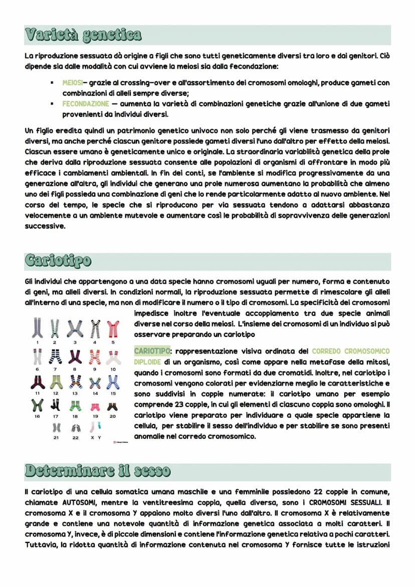 Dificiono cellulato
La divisione cellulare
DIVISIONE CELLULARE: è l'evento più importante della vita cellulare e consiste
nel processo che o
