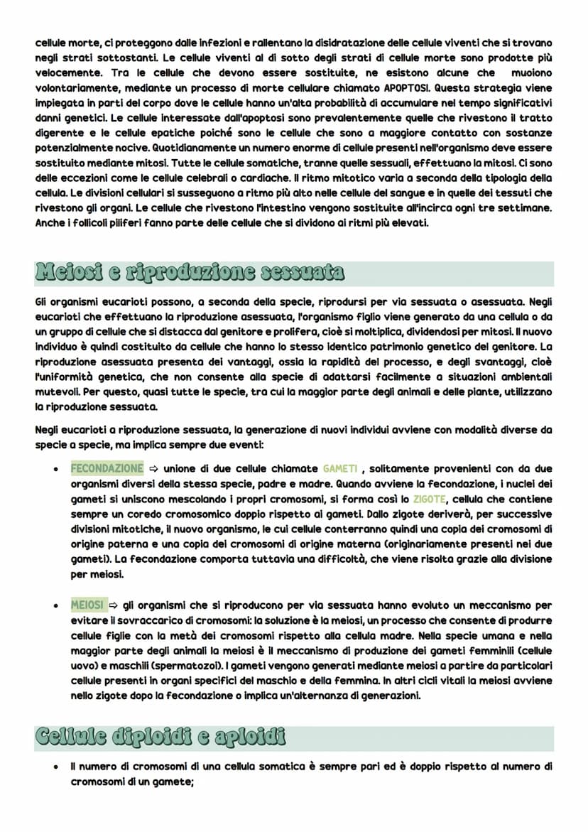 Dificiono cellulato
La divisione cellulare
DIVISIONE CELLULARE: è l'evento più importante della vita cellulare e consiste
nel processo che o