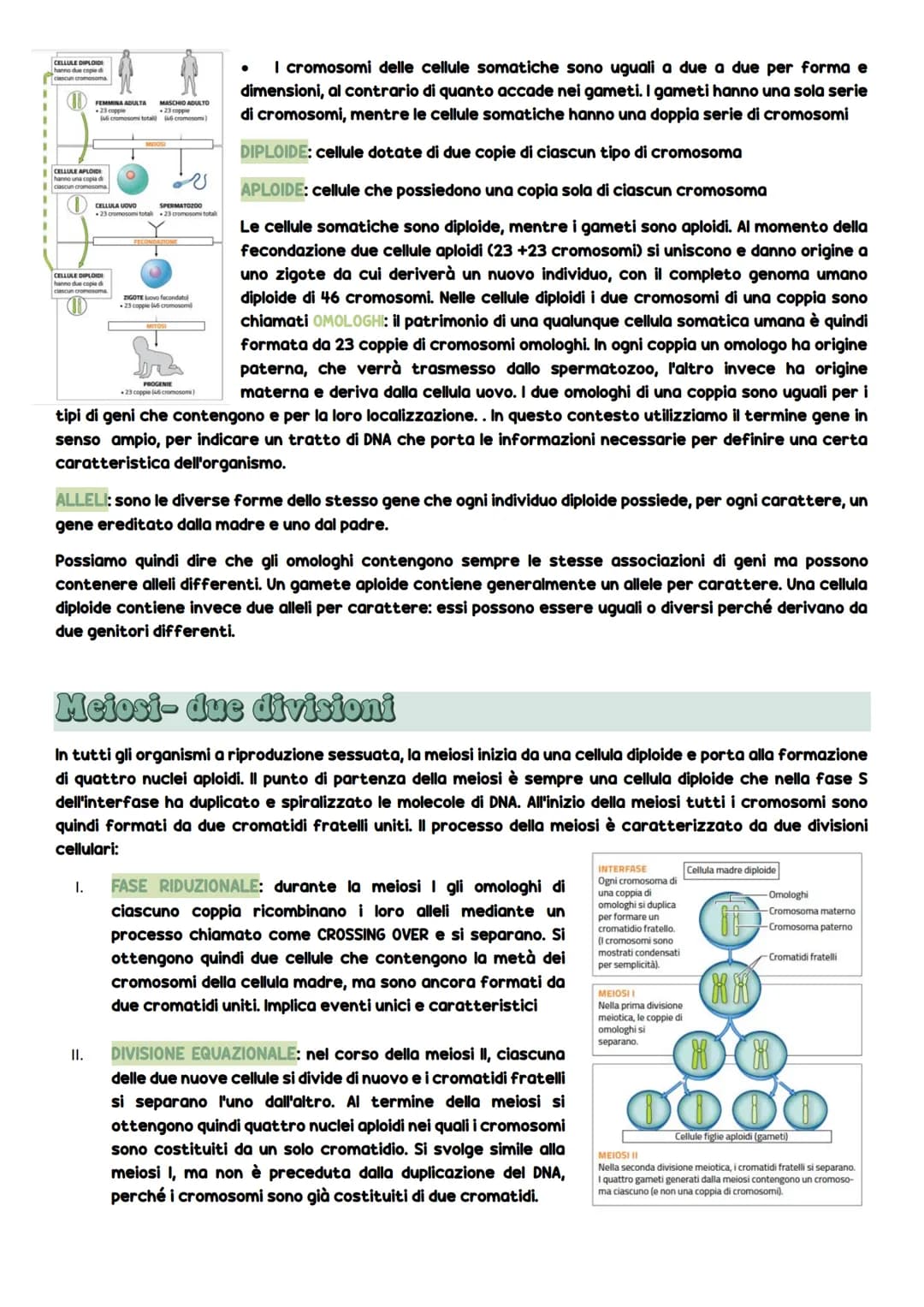 Dificiono cellulato
La divisione cellulare
DIVISIONE CELLULARE: è l'evento più importante della vita cellulare e consiste
nel processo che o