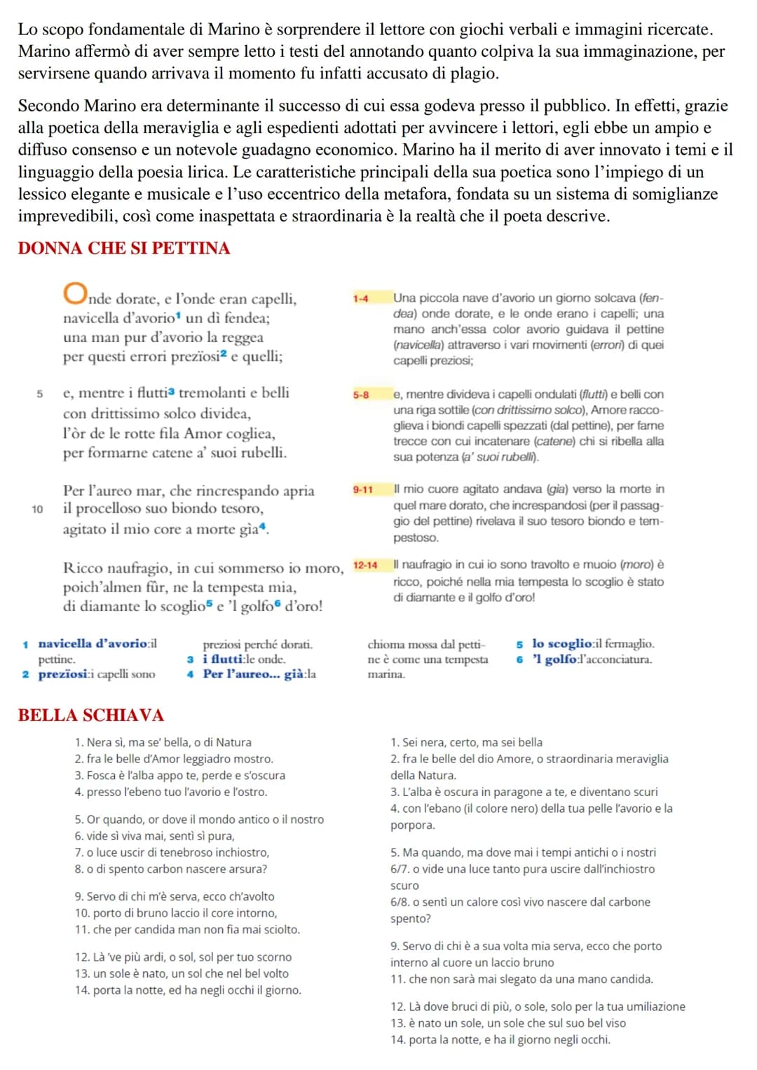 IL BAROCCO
Nel Seicento si verificarono profondi mutamenti e sperimentazioni in ambito artistico e letterario, fu
infatti un'epoca di grandi