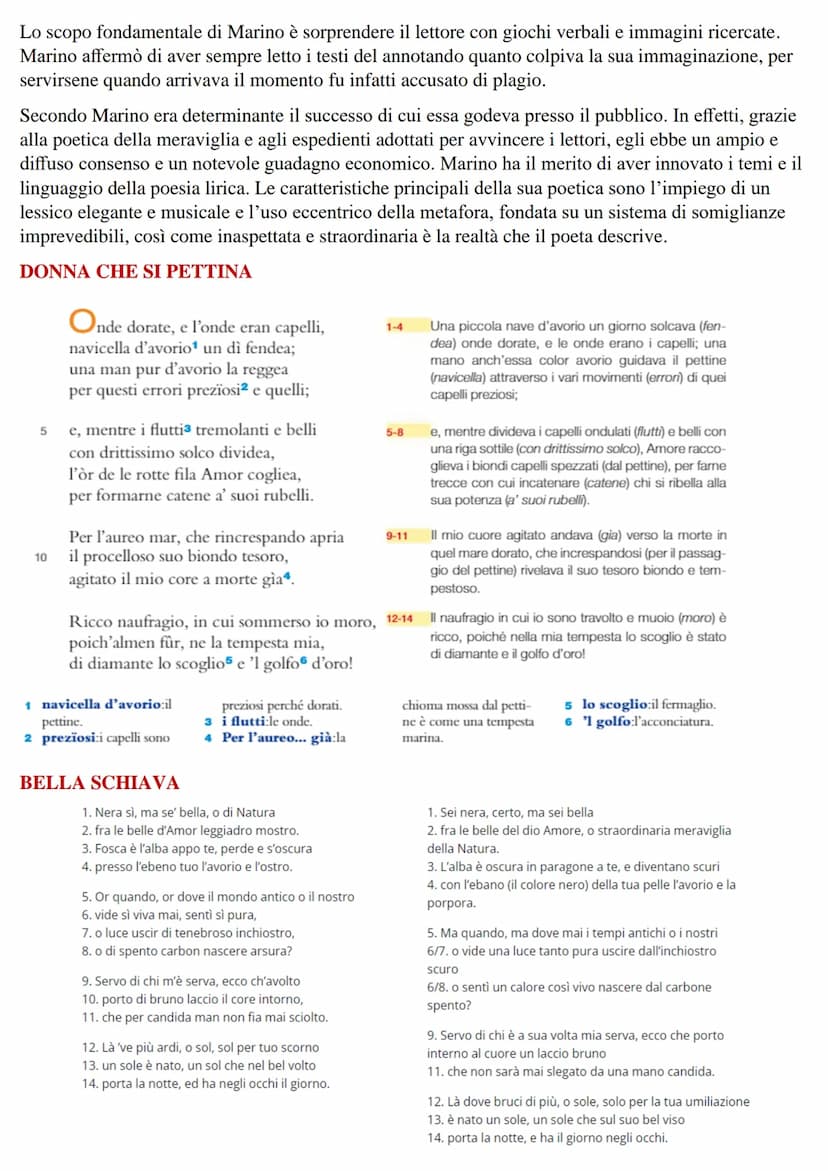 IL BAROCCO
Nel Seicento si verificarono profondi mutamenti e sperimentazioni in ambito artistico e letterario, fu
infatti un'epoca di grandi