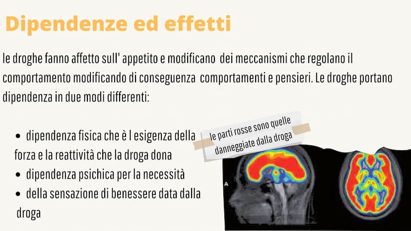 
<p>Le droghe e il loro effetto sul sistema nervoso influenzano sia il nostro corpo che la nostra mente. Le droghe sono sostanze psicoattive