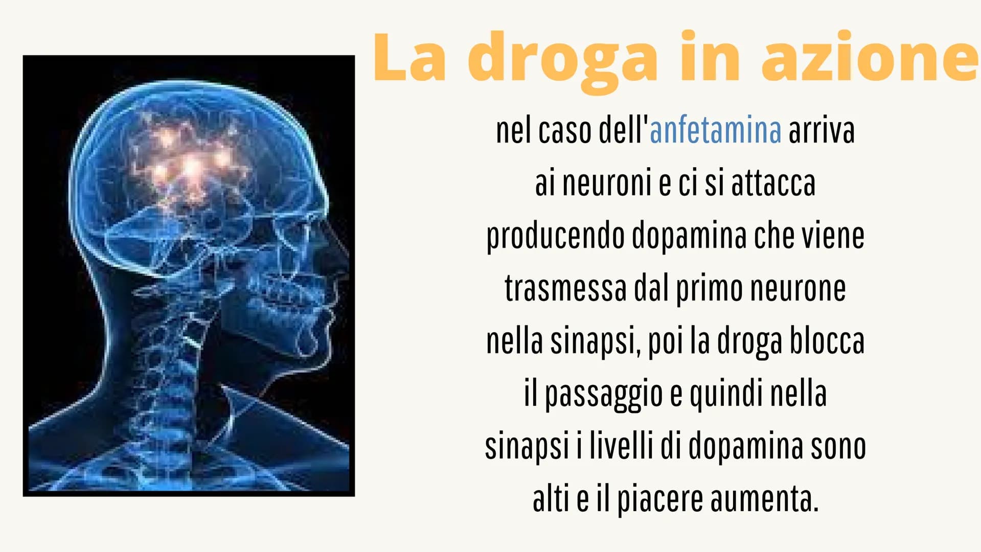 
<p>Le droghe e il loro effetto sul sistema nervoso influenzano sia il nostro corpo che la nostra mente. Le droghe sono sostanze psicoattive